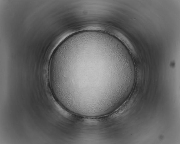 X0000101690852200807241407