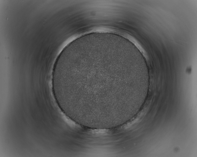 X0000101690853200807241407