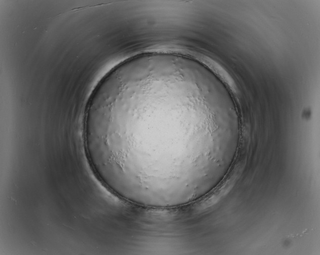 X0000101690855200807241407