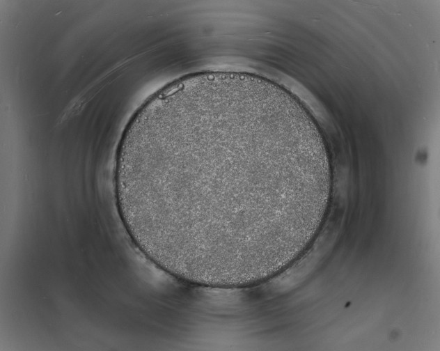 X0000101690856200807241407