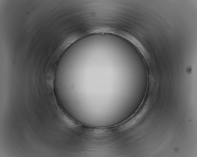 X0000101690857200807241407