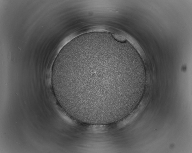 X0000101690858200807241407