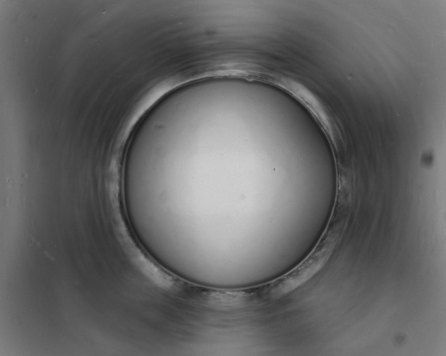 X0000101690859200807241407