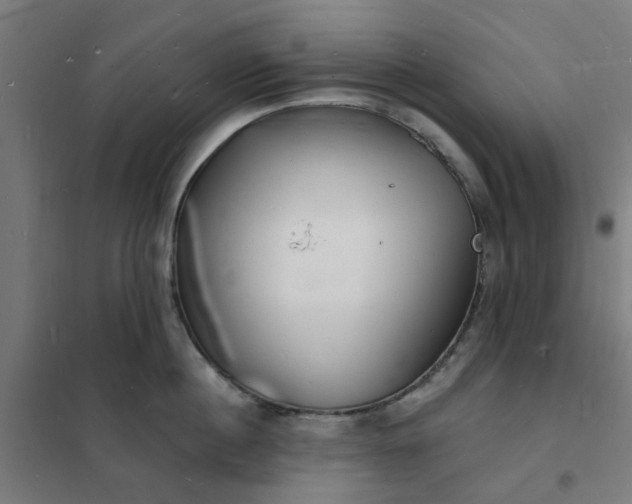 X0000101690860200807241407