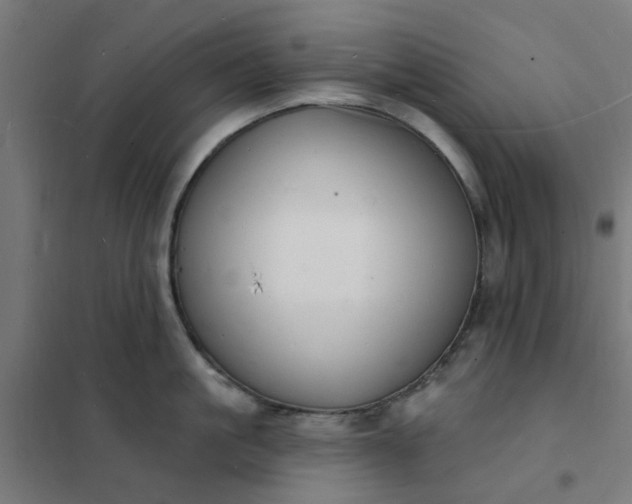 X0000101690861200807241407