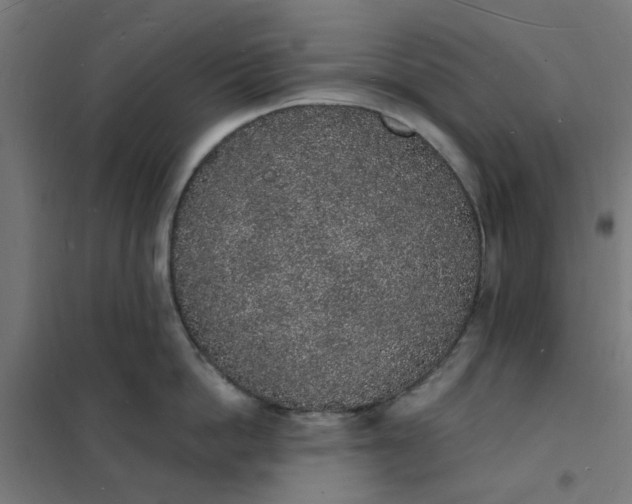 X0000101690862200807241407