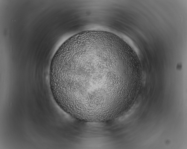 X0000101690863200807241407