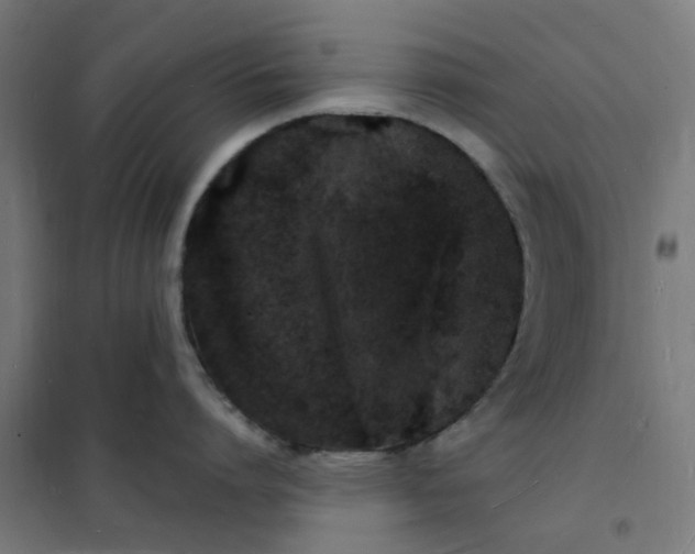 X0000101690864200807241407