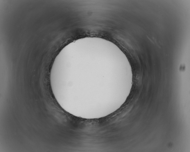 X0000101690865200807241407