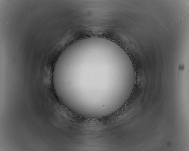 X0000101690866200807241407