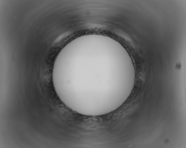 X0000101690869200807241407