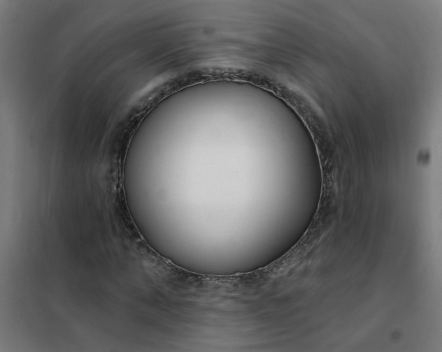 X0000101690870200807241407