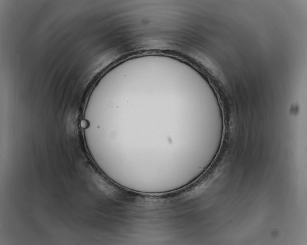 X0000101690873200807241407