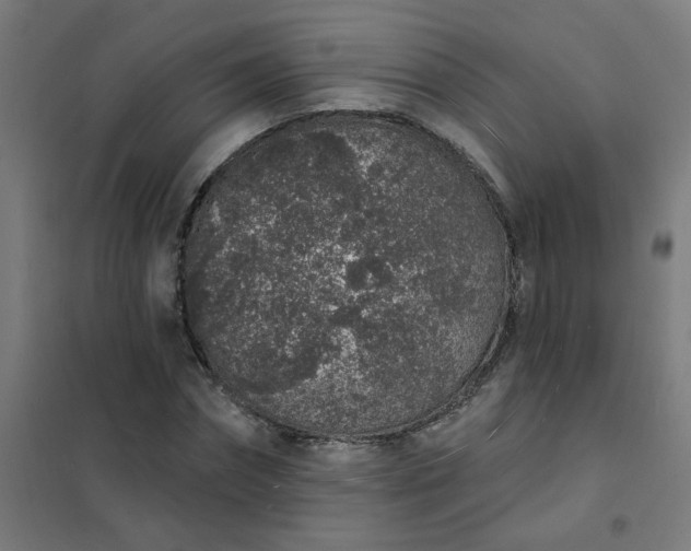 X0000101690874200807241407