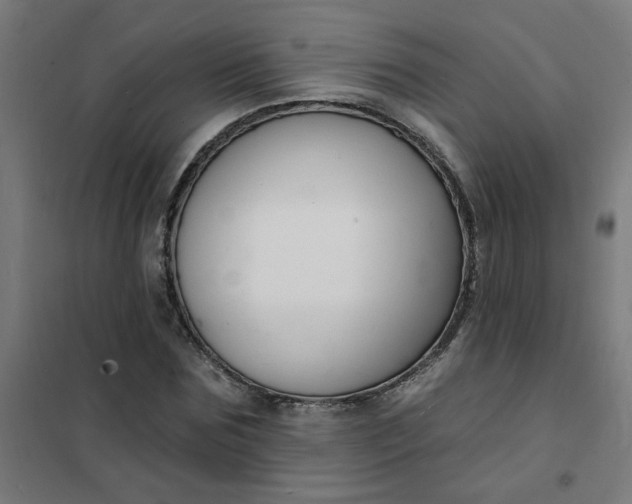 X0000101690875200807241407