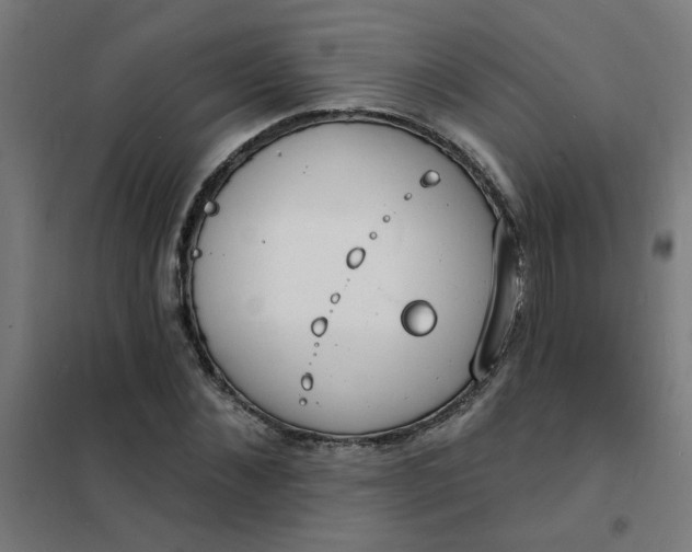 X0000101690876200807241407