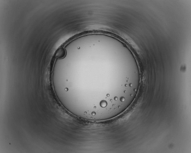 X0000101690877200807241407