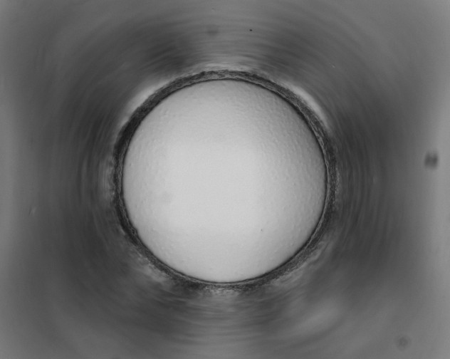 X0000101690878200807241407