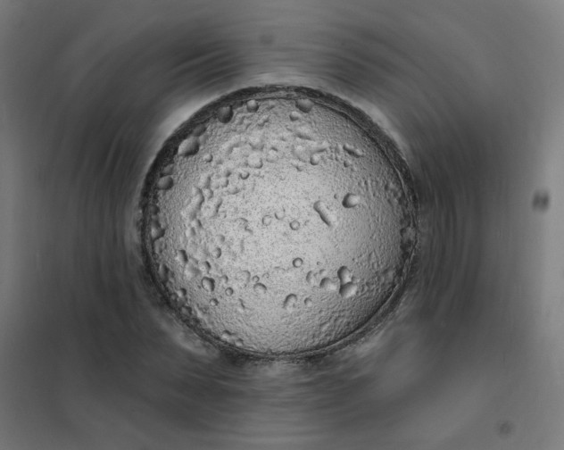 X0000101690879200807241407