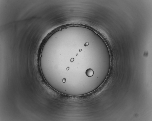 X0000101690880200807241407