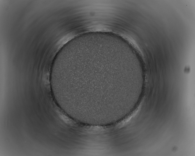 X0000101690881200807241407