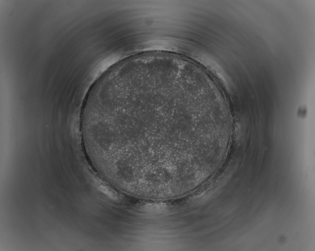 X0000101690882200807241407