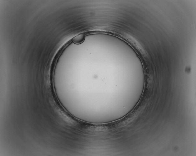 X0000101690884200807241407