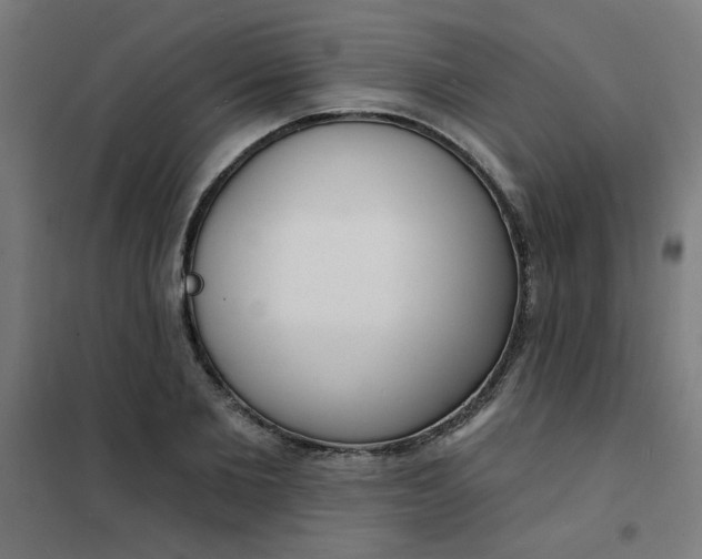 X0000101690885200807241407