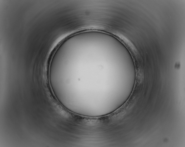 X0000101690886200807241407