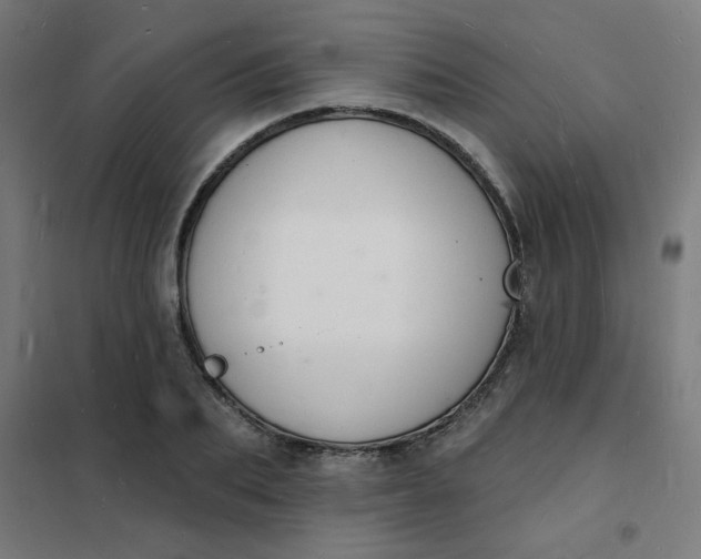 X0000101690887200807241406