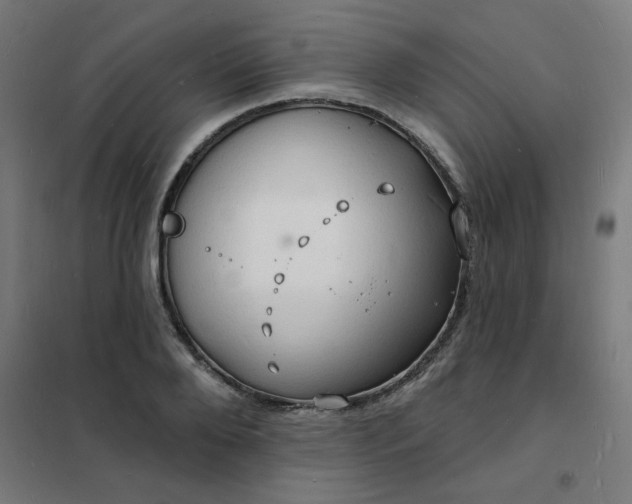 X0000101690888200807241406