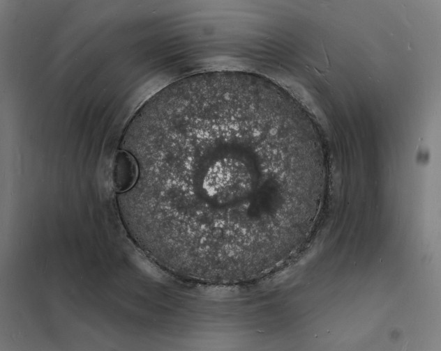 X0000101690889200807241406