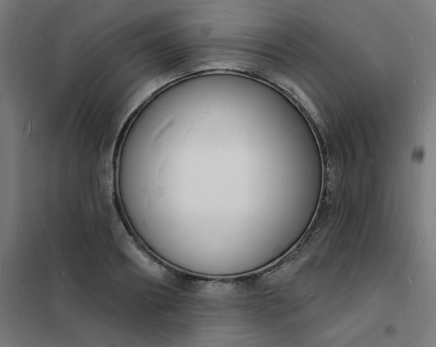 X0000101690890200807241406