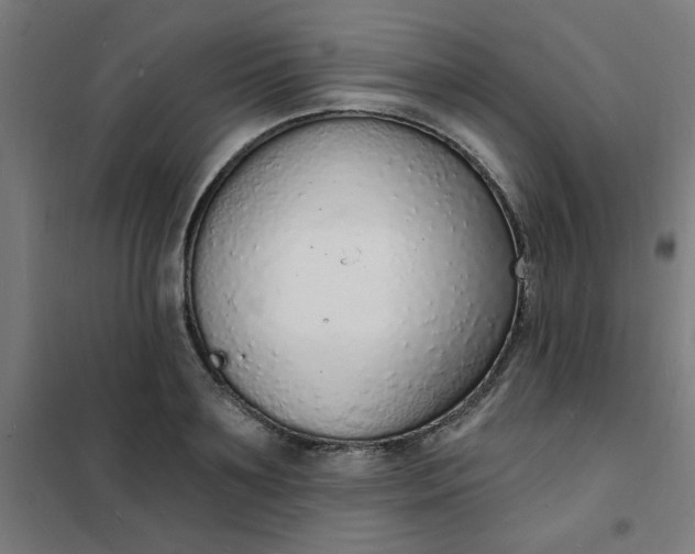 X0000101690891200807241406