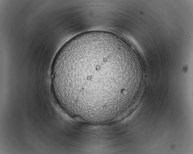 X0000101690892200807241406