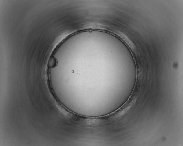 X0000101690893200807241406