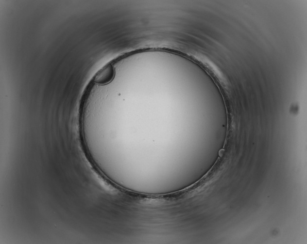 X0000101690894200807241406