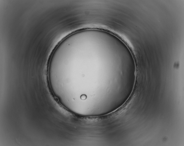 X0000101690895200807241406