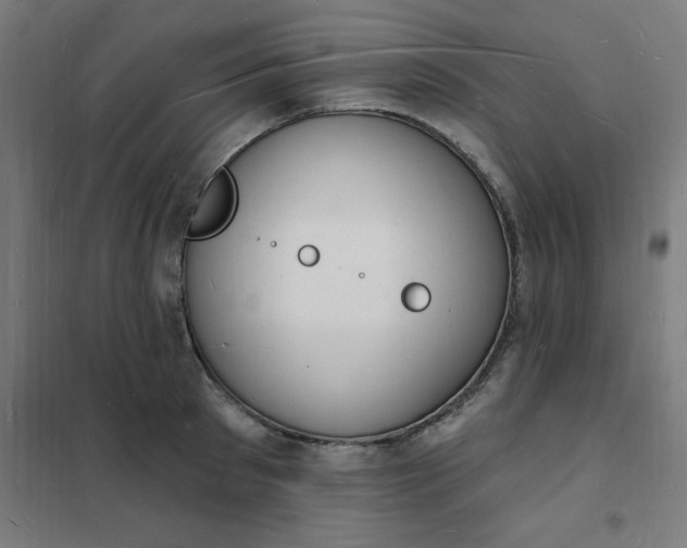 X0000101690897200807241406