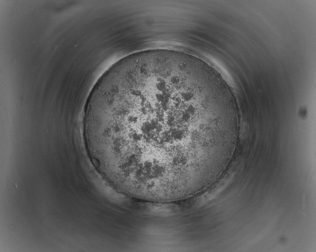 X0000101690899200807241406