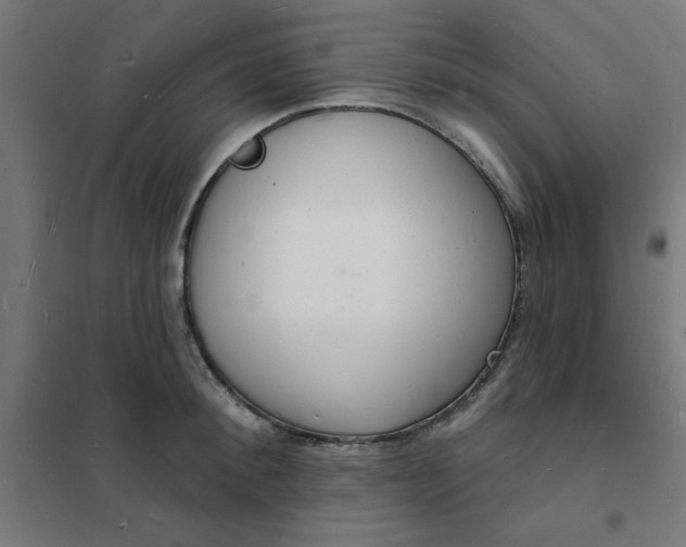 X0000101690900200807241406