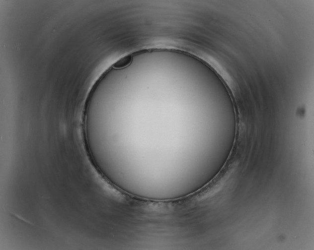 X0000101690901200807241406