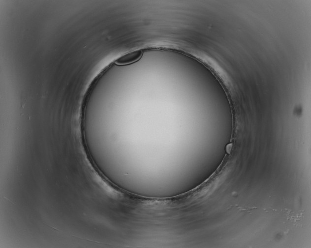 X0000101690902200807241406