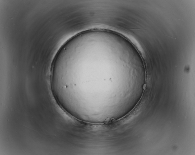 X0000101690903200807241406