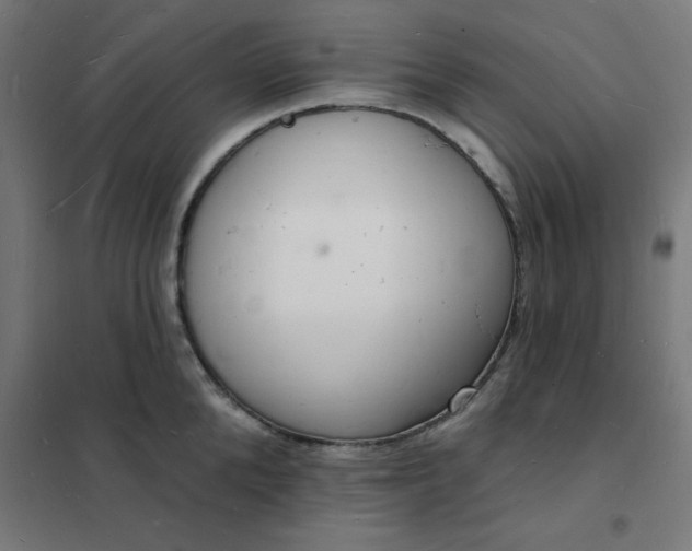 X0000101690904200807241406