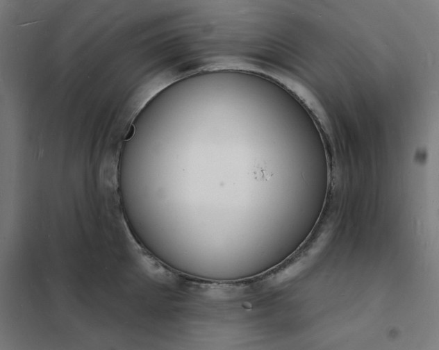 X0000101690905200807241406