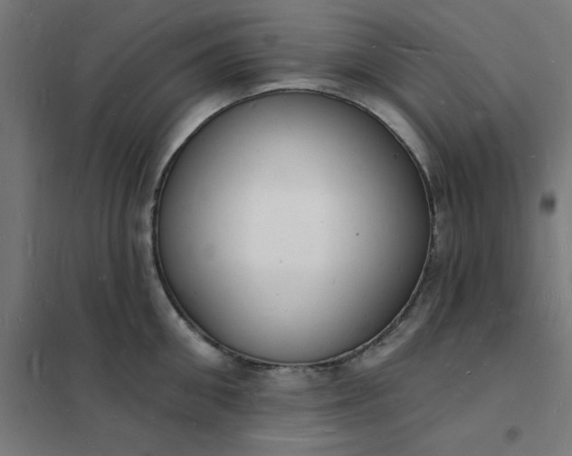 X0000101690906200807241406