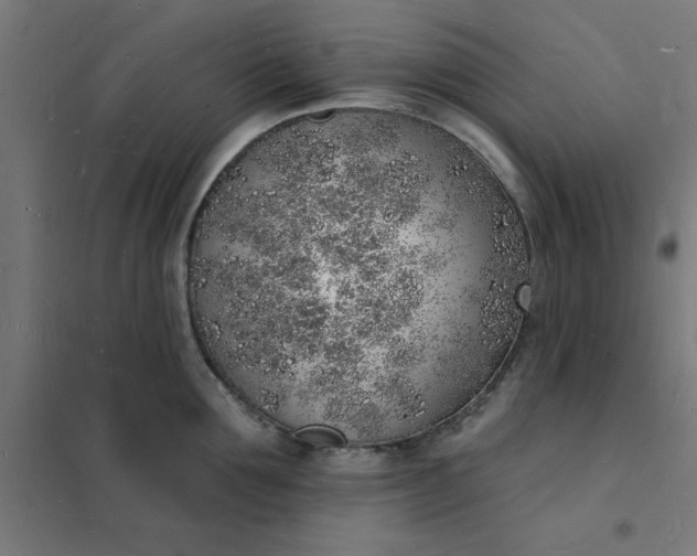 X0000101690907200807241406