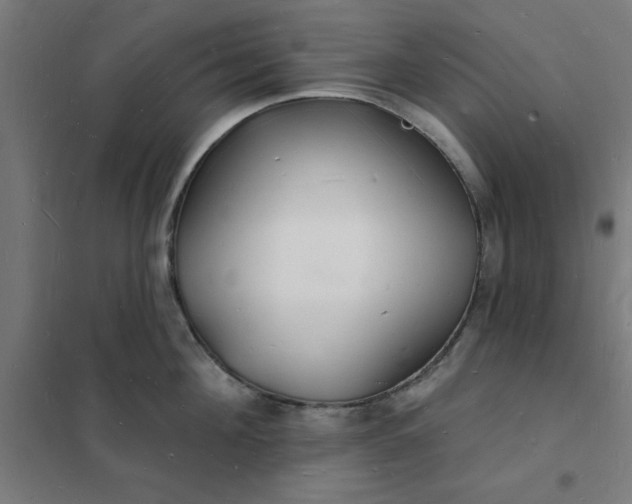 X0000101690908200807241406