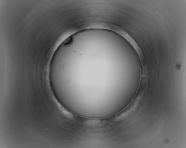 X0000101690909200807241406